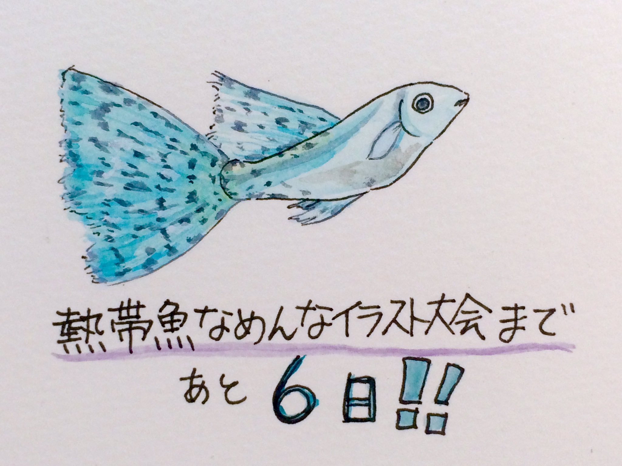 おかもとさちえ A Twitter おはようございます イラスト大会まで一週間切りましたねー 今日はグッピーだよ 熱帯魚なめんなイラスト大会 熱帯魚なめんなイラスト大会は熱帯魚なめんな様のキャラクターのイラストを描く大会です 詳しくはこちら٩ W و