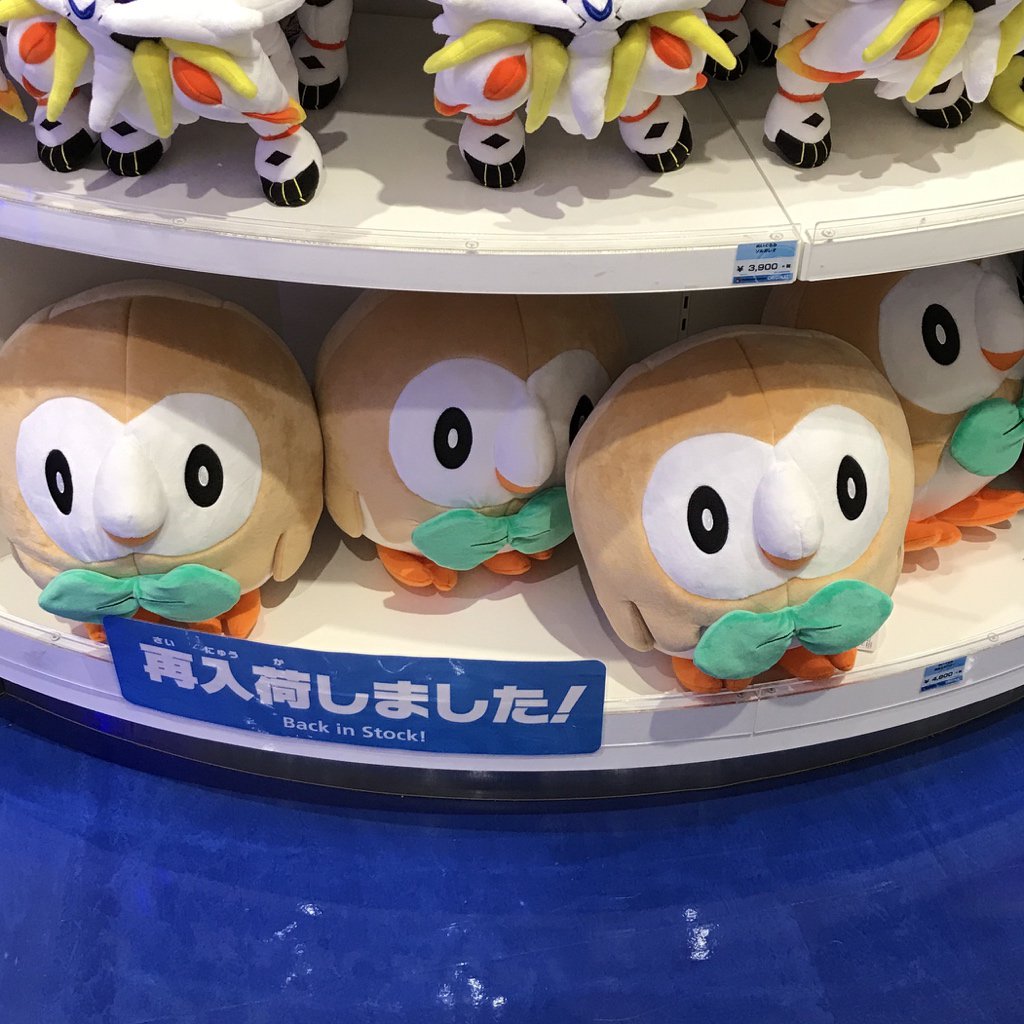 ポケモンセンターnakayama على تويتر 再入荷 等身大モクローぬいぐるみ ラプラスぬいぐるみ ポケモンセンター ポケモンセンターnakayama على تويتر 再入荷 等身大モクローぬいぐるみ ラプラスぬいぐるみ ポケモンセンター