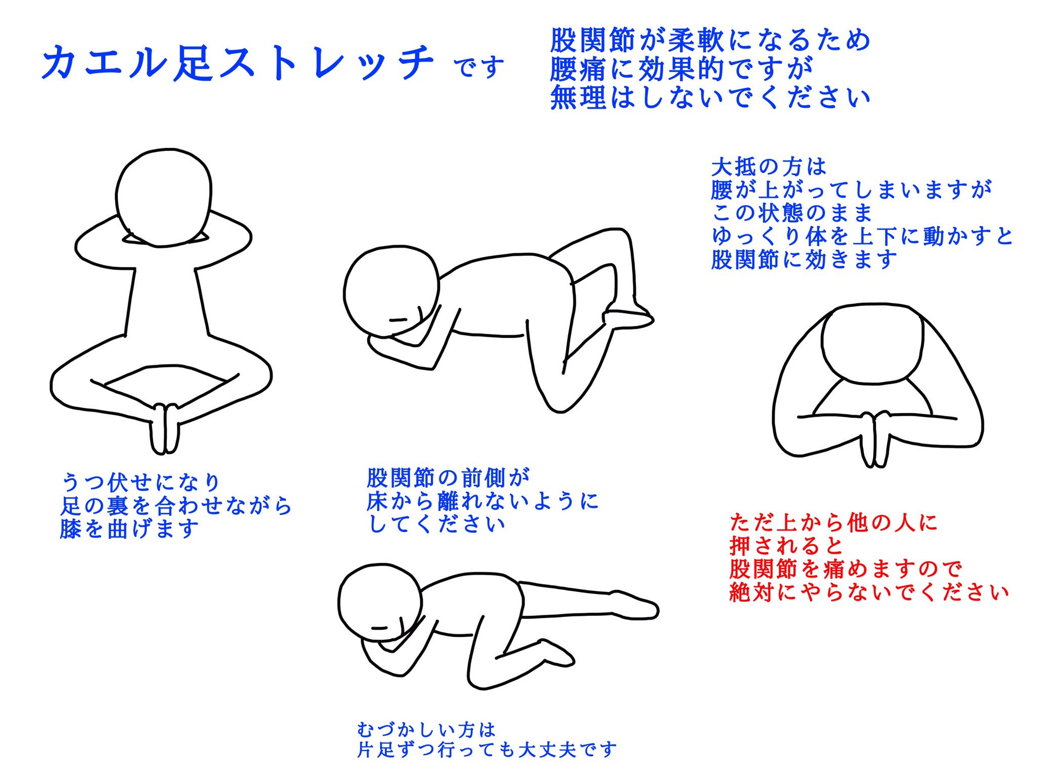 ふくらはぎほぐしの足楽屋 バレエなどで行われる カエル足ストレッチです ストレッチで 他人に補助 押したりひっぱったり してもらう 方法もありますが 私はケガの危険性が高まるので おすすめしていません 特にこのカエル足ストレッチでは 絶対に上から