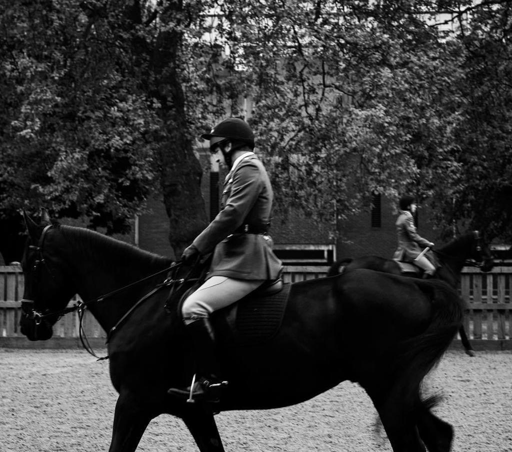 Hyde Park, Household Calvary... #equestrian #hydepark #horses #horsesofinstagram #london #householdcalvary #horse … instagram.com/p/BTn4oY7gFr_/