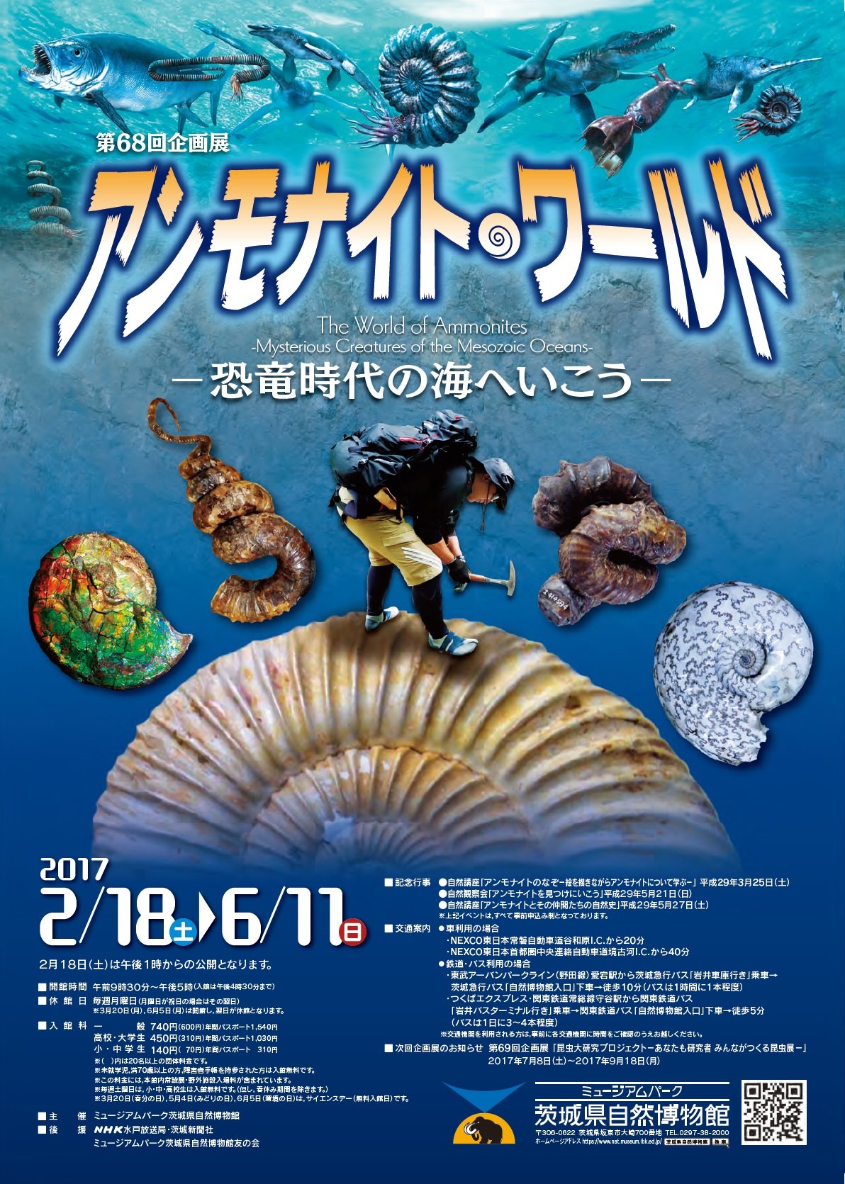 取寄商品 サイエンスナット社 世界の甲虫 | iuggu.ru