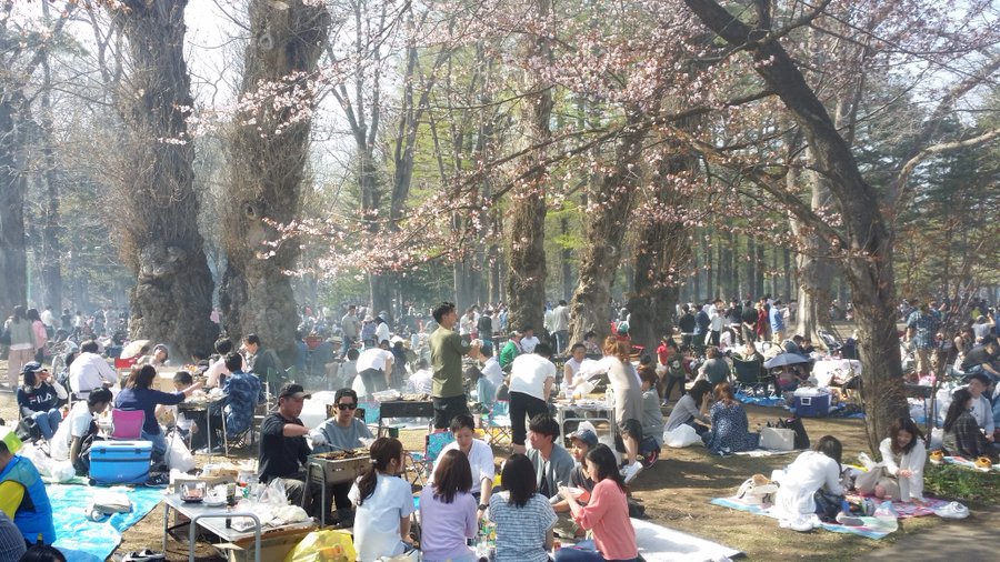 札幌円山公園に花見に行く時はトイレ犬ナンパには注意です私からのアドバイス