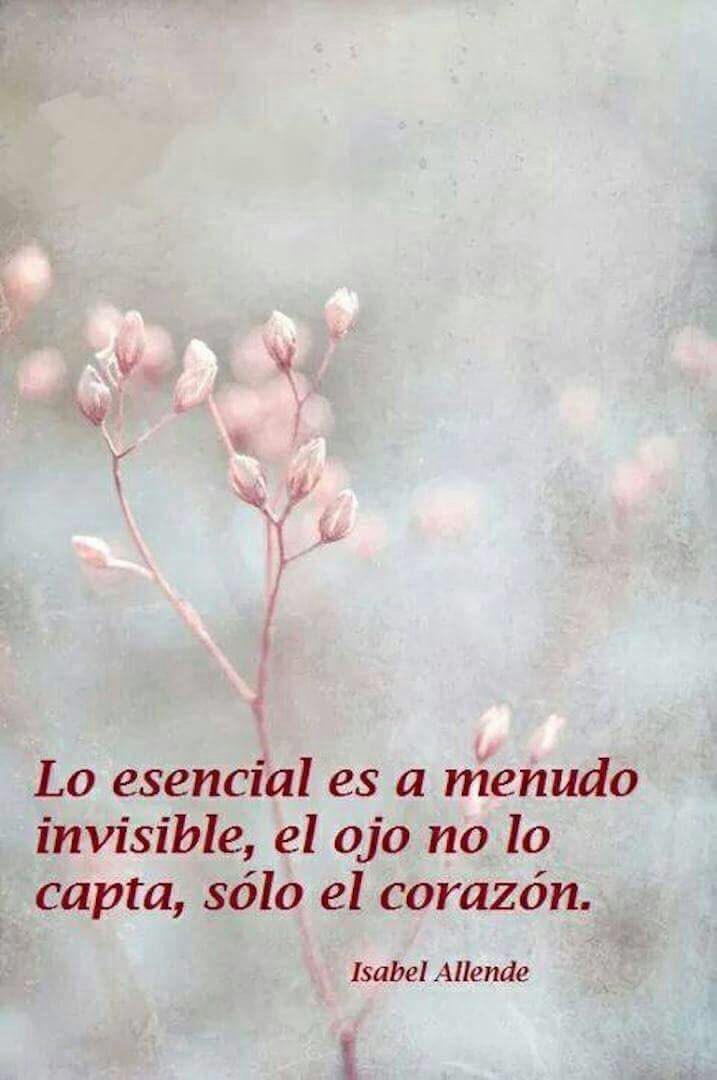 alloza12's tweet photo. @ccgotas egunon @CasiKe_No @ratitasc @evitadinamita11 @aparkelu @UtopikaPily @monika_1972 @nessceballos @MiguelAngelJau2 a por el miércoles https://t.co/KIG3JmOBaJ