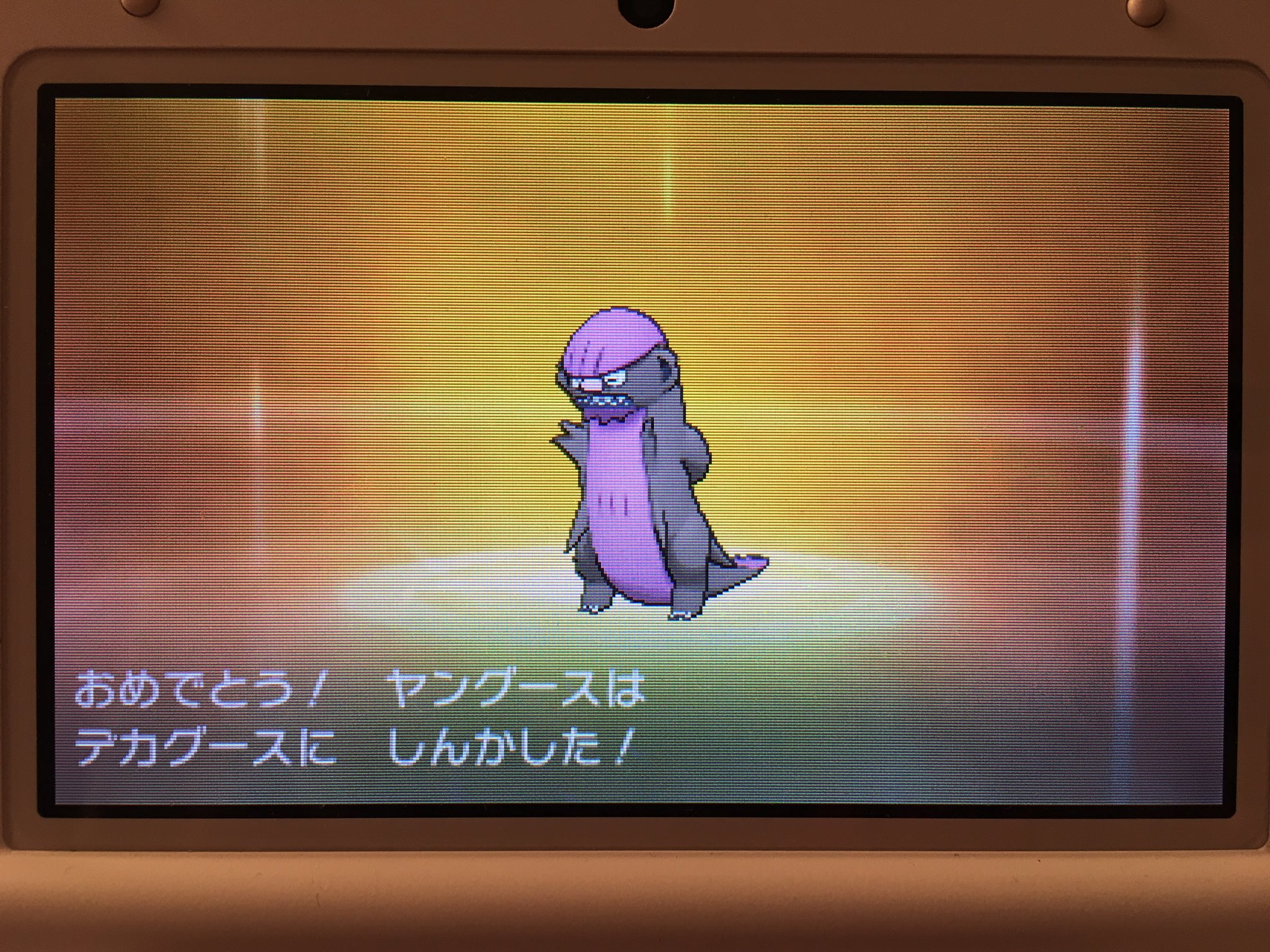 まるころ Aka しの 孵化中に色違いでたから進化させてみたけど 全くトランプじゃなかった ポケモンサンムーン トランプ 大統領 デカグース T Co Xla3oh1gn8 Twitter