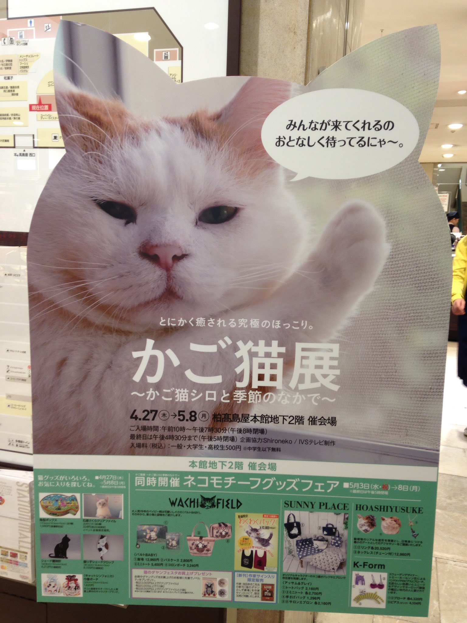 かづえ レンアイ漫画家沼 Pa Twitter 改めて 柏タカシマヤで開催中の かご猫展 かご猫シロ と季節のなかで を観に行ってきました 途切れることなくお客さんが入っていて かご猫blogファンとしては嬉しい限りでした W 飼い主様のご挨拶文でいきなり