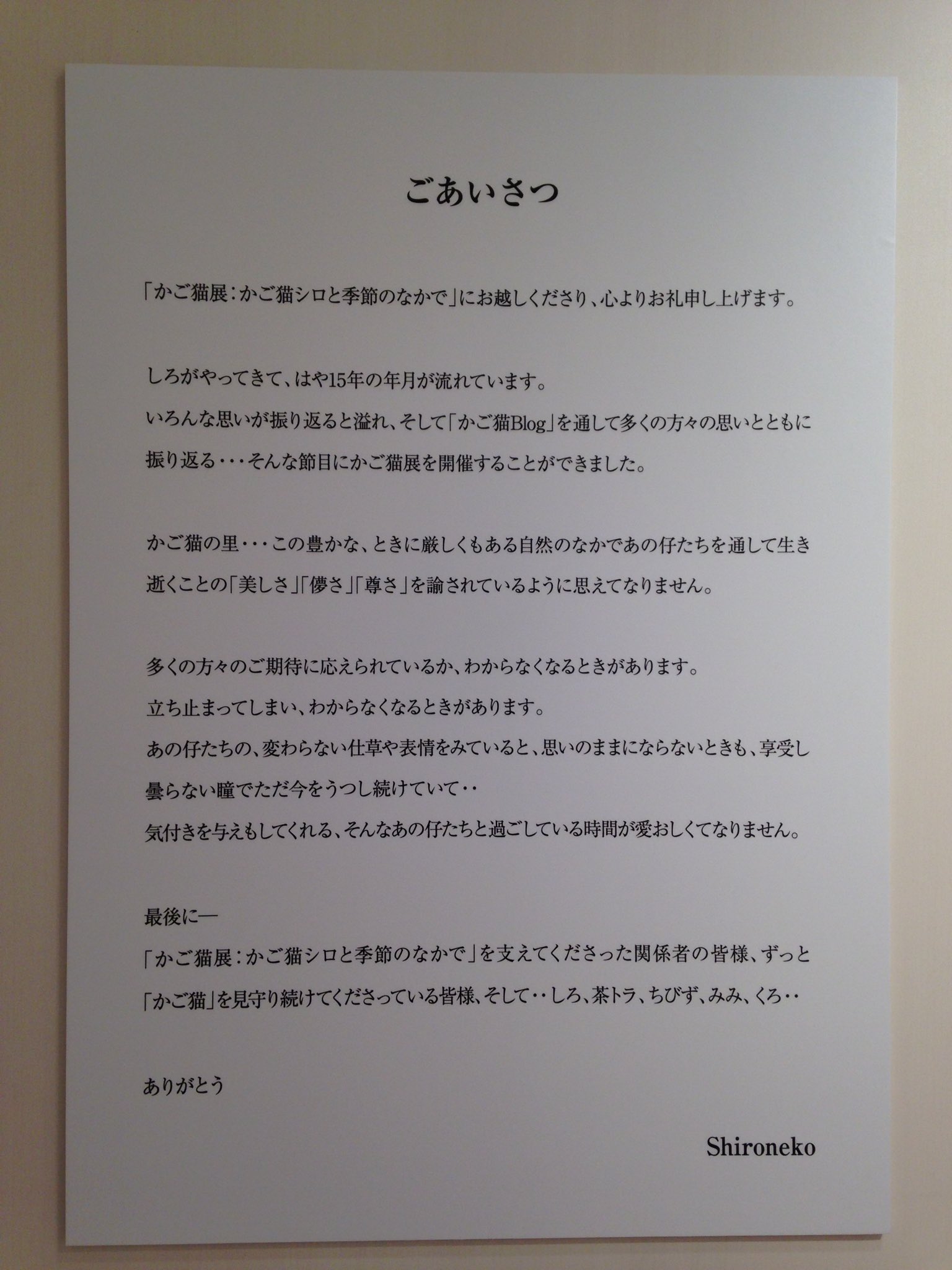 かづえ Pa Twitter 改めて 柏タカシマヤで開催中の かご猫展 かご猫シロ と季節のなかで を観に行ってきました 途切れることなくお客さんが入っていて かご猫blogファンとしては嬉しい限りでした W 飼い主様のご挨拶文でいきなり泣きそうに