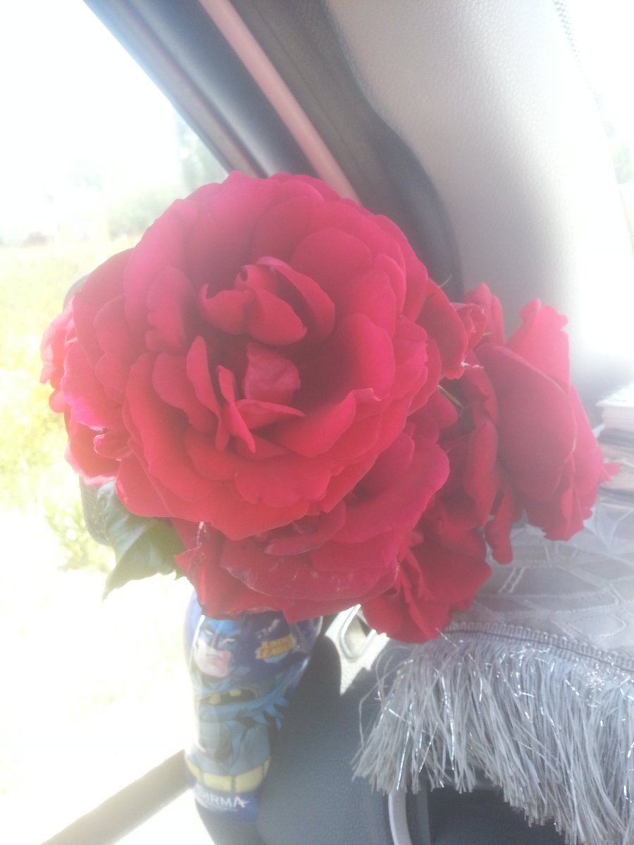 Merhaba hayırlı sabahlar hayirli isler en guzel gunler sizinle olsun yuregi kalbi guzel arkadaslar Antalya dan selam