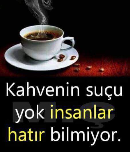 Serpil Sercan (@sercan_serpil) on Twitter photo 