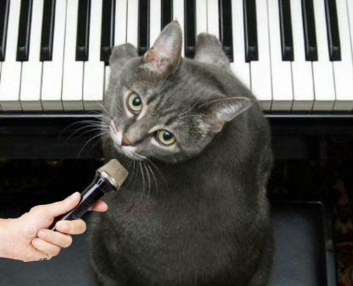 A8unanua's tweet photo. +¿Compones musica con frecuencia?
-A gatos https://t.co/geba2r1Icw