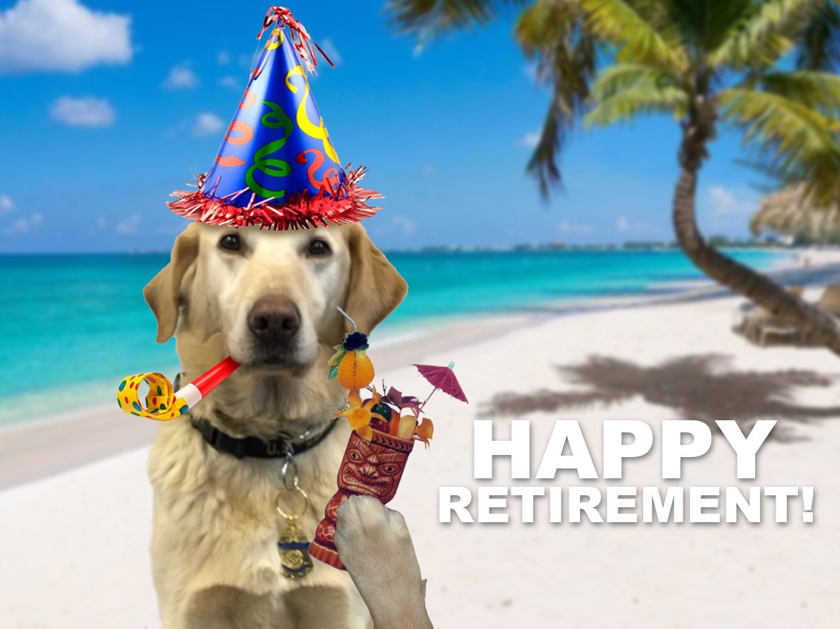 Buy Best Wishes For A Relaxing And Happy Retirement Dog Lover Funny