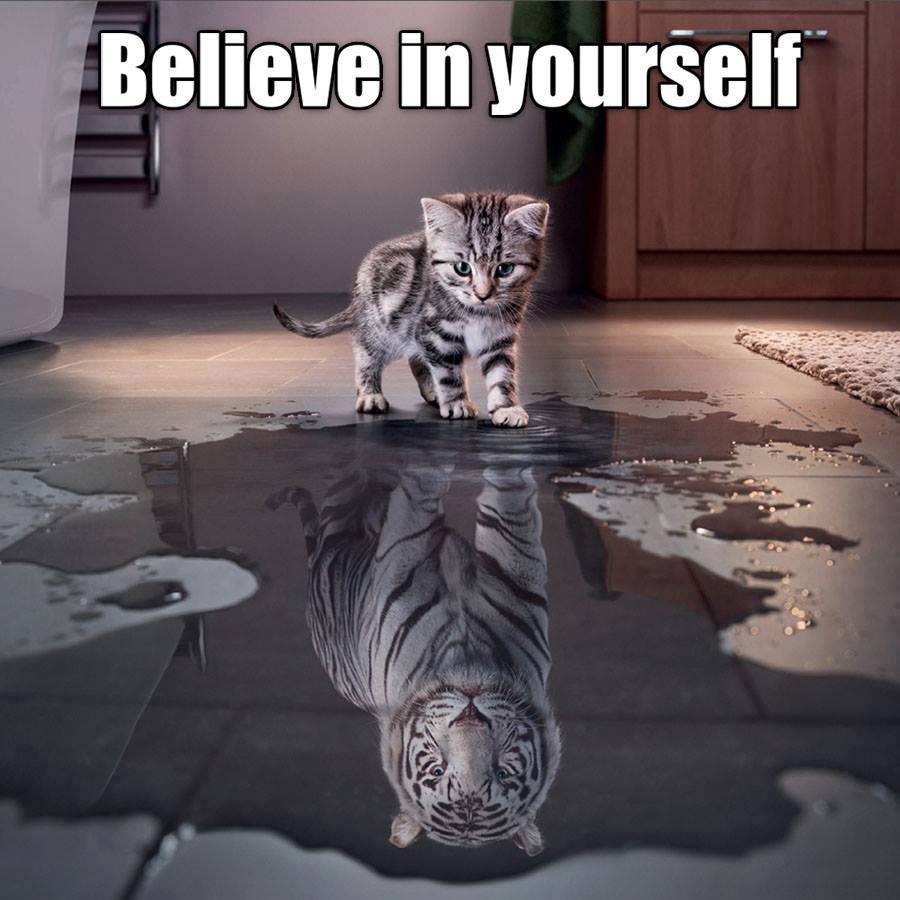 nmcustomers's tweet image. If you don't, no one else will.