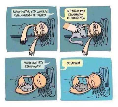 ester_autoayuda's tweet image. #humor y #psicología. La importancia de tener un amigo peludo.