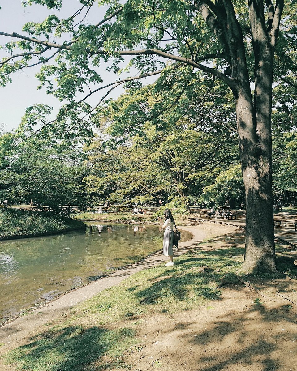 gwc_shashinbu's tweet image. 🌸GW撮影会🌸
昨日は新入生を交え、
新緑の代々木公園に行きました。

撮影日和でしたね〜のんびりと良い時間を過ごせました😊