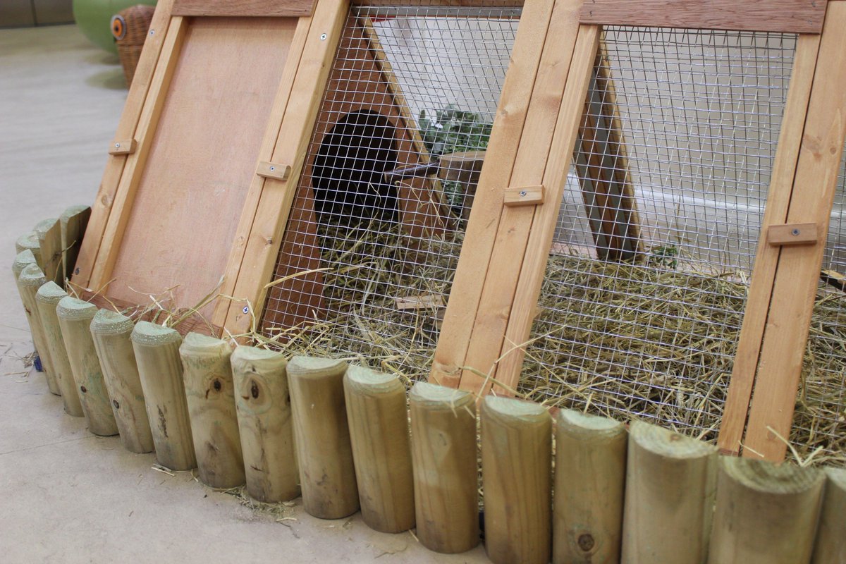 bbccleeds's tweet photo. Not long left now until our #eggs hatch! Do you think they will be comfy in their new home? #chickwatch #incubationproject @MeanwoodFarm https://t.co/v573ZRsR7C