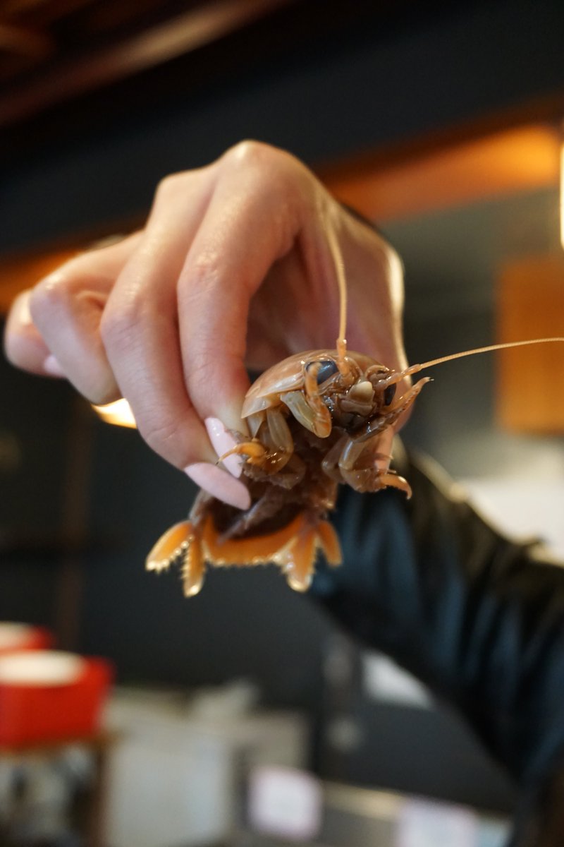 ট ইট র 水野ちぱる 静岡県焼津市に口から黒い液体をドバドバ吐く生き物がいるというので調査に行ってまいりました 焼津の半次 T Co Rhjxadw8nl ガールズバイカー Girlsbiker 造形社 オオグソクムシ 大グソクムシ 焼津かに小屋 アメブロ