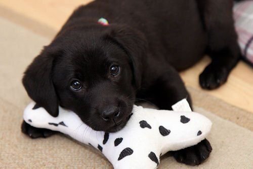 AmerAttorneys's tweet image. I wonder if i will get the color of this pillow on myself?