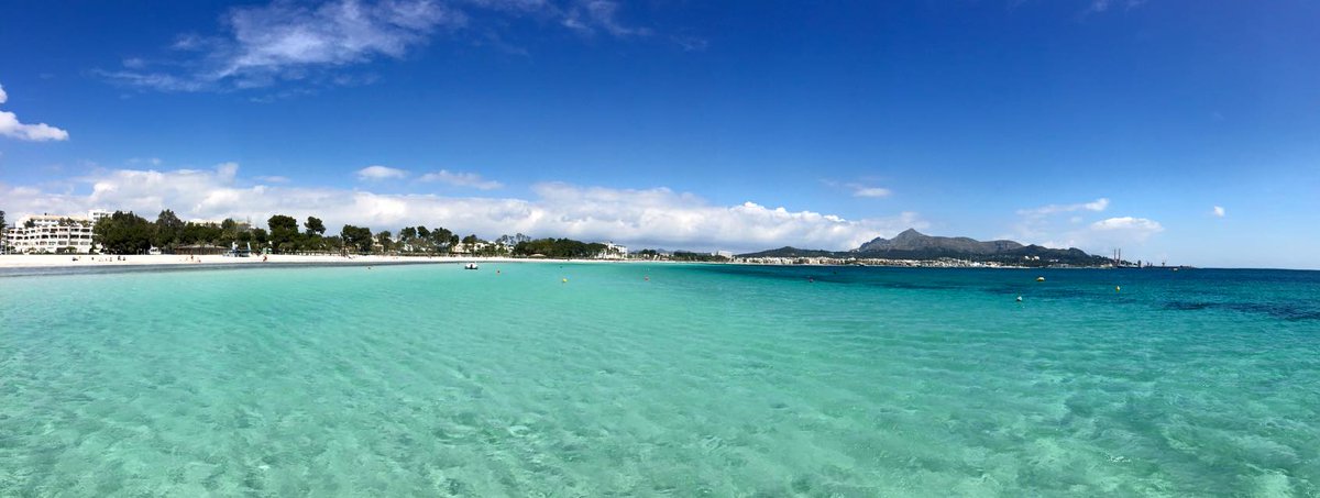 Mallorca Rocks tweet media