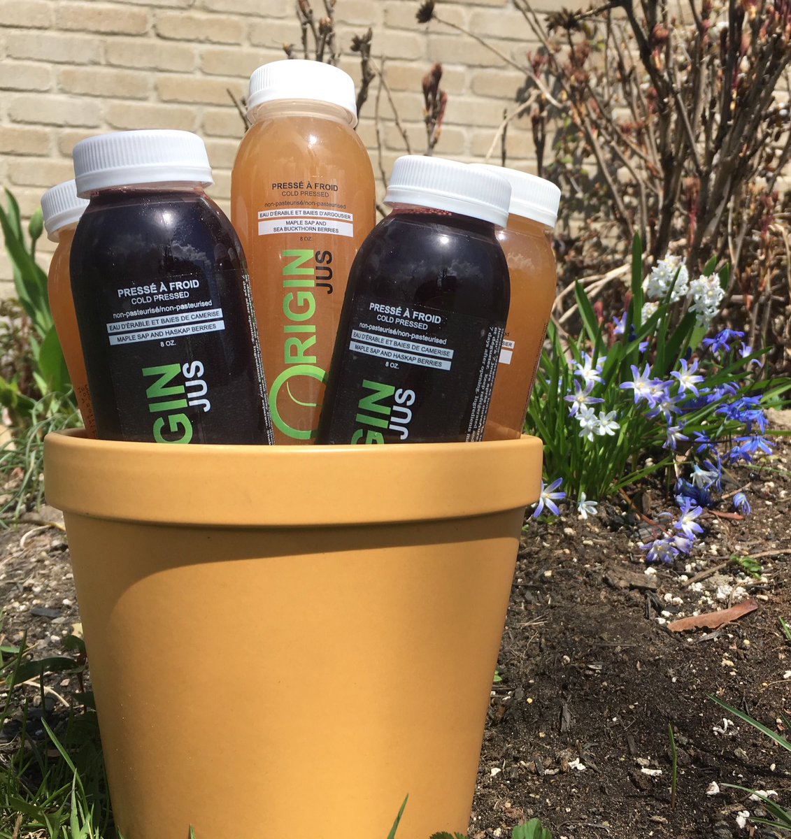 OriginJus's tweet image. Origin Jus finally made it to twitter!