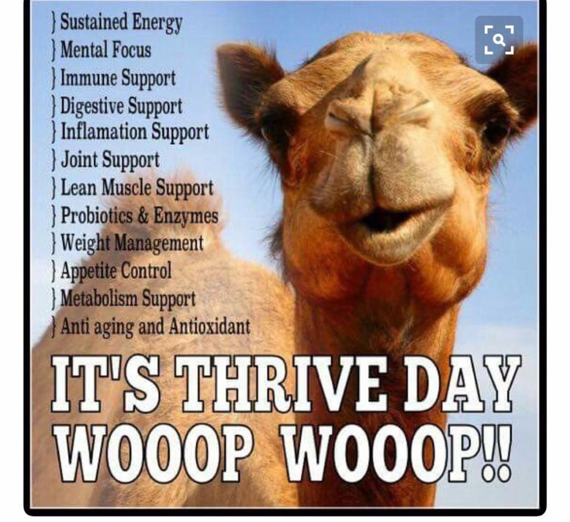 joatis's tweet image. Still not Thriving❓Le-vel is #1 in the health and wellness industry.  Ask Siri.  jennioatis.le-vel.com/Login?ReturnUr…