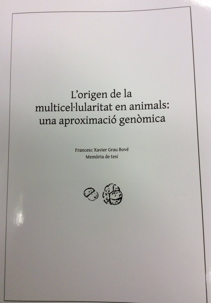Essays on father