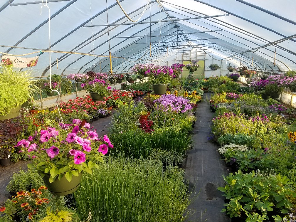 Architectural Trees will be selling all the pretty things at the Market Saturday <a href="/NorthgateDurham/">NorthgateMall Durham</a> #durham #durhamfresh #Flowers