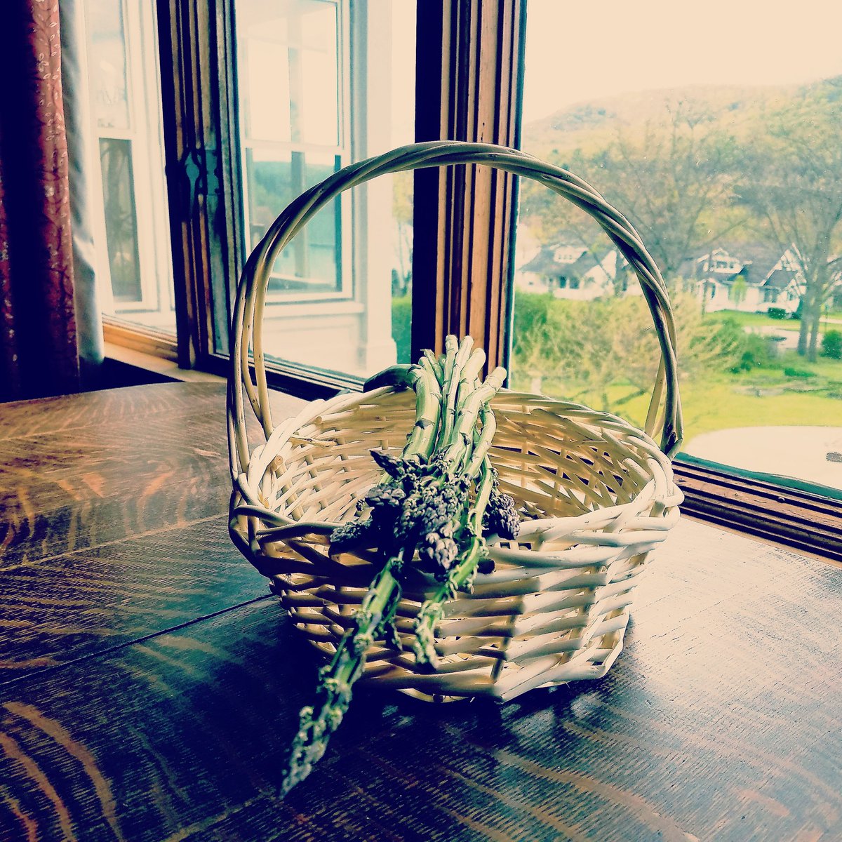 #freshasparagus #mansiondistrictinn #bedandbreakfast #garden