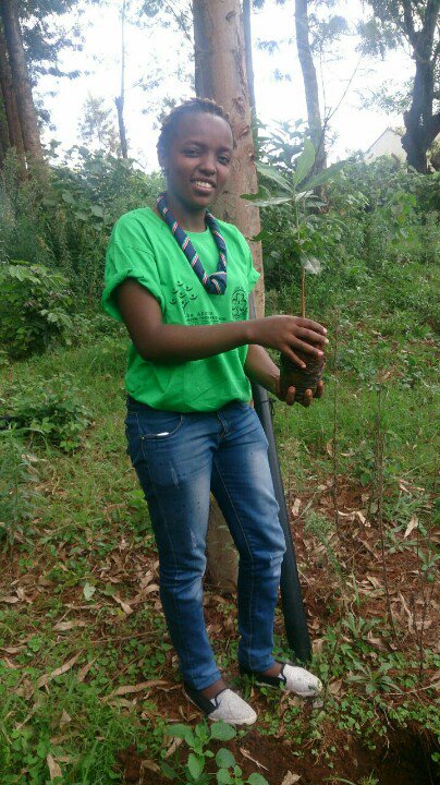 @YoungLeadersK very own Rachel,doing her duty to preserve the environment by planting more trees.#ConnectingwithEnvironment🌿🌾🌱🌲🌳