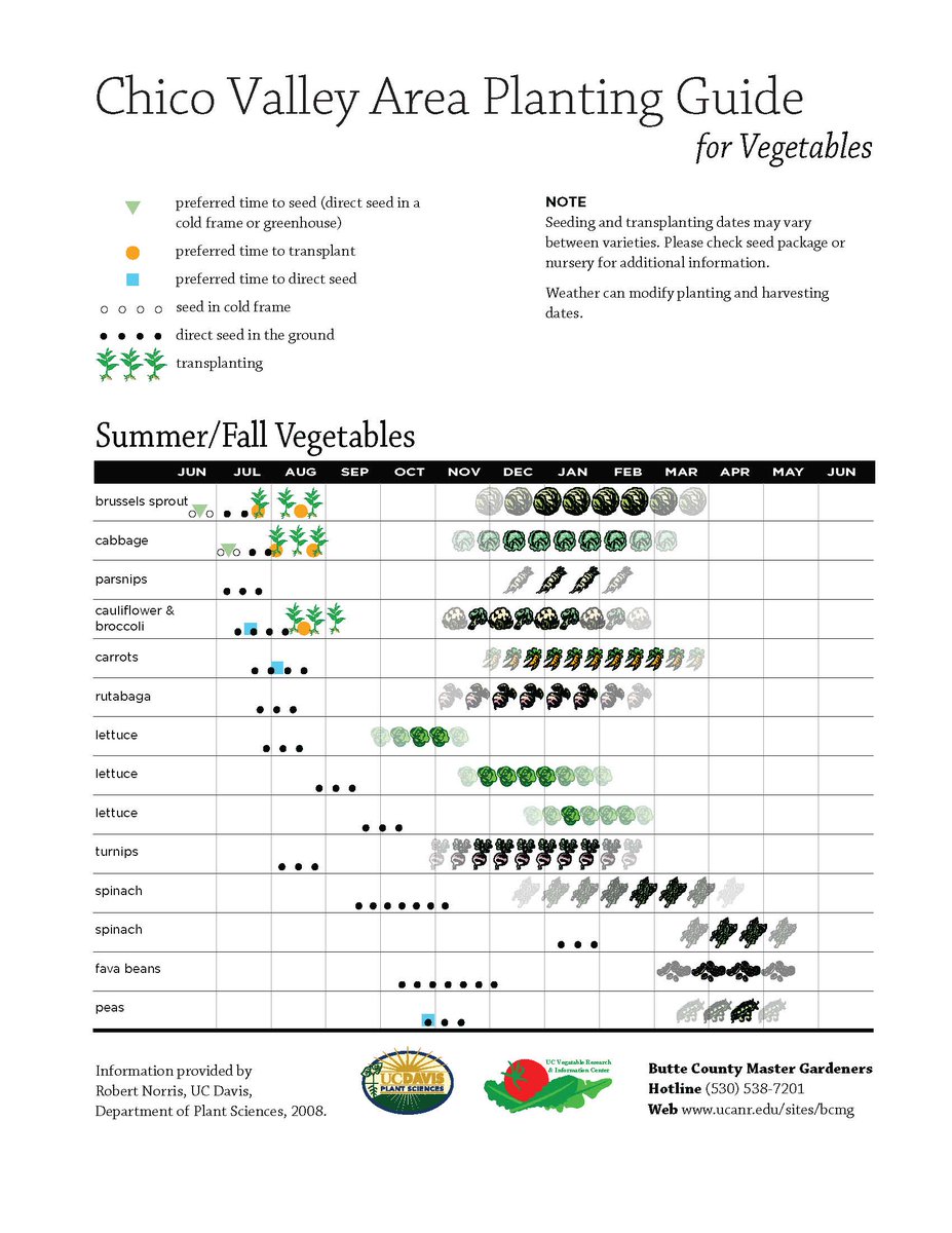 ColusaGrown's tweet photo. Here's some specialty crops you could be planting right now: cucumbers, green beans, squash, corn, and melons! Show us your gardens! https://t.co/UxfZh67mVA