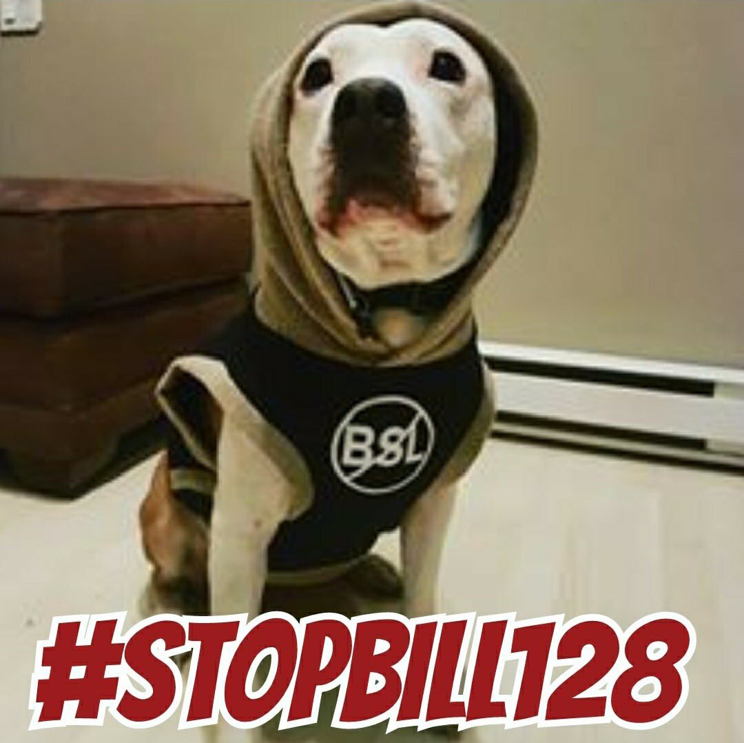jane_endbsl's tweet image. .@CoiteuxMartin if you truly want public safety adopt the Calgary model! BSL is lazy, ineffective law making! Citizens fund your pay cheque!