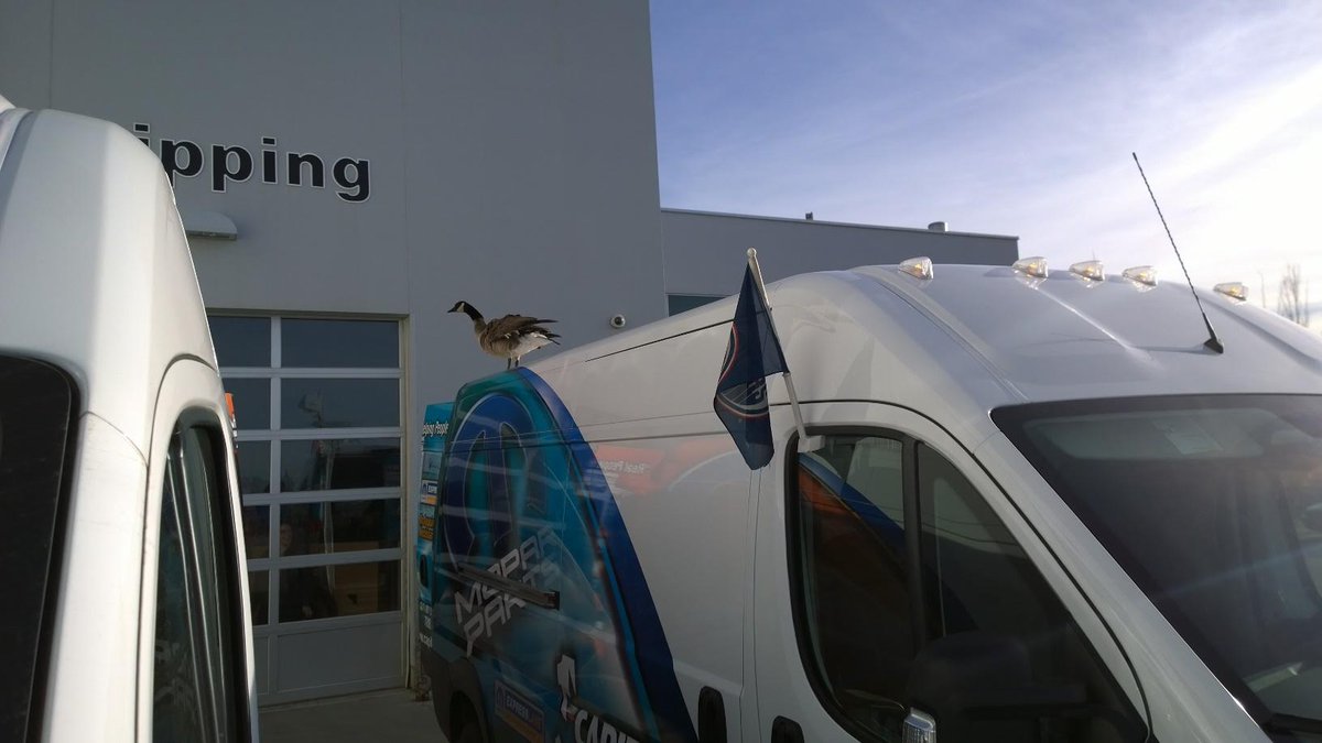 Capital Jeep Capitaljeep Twitter