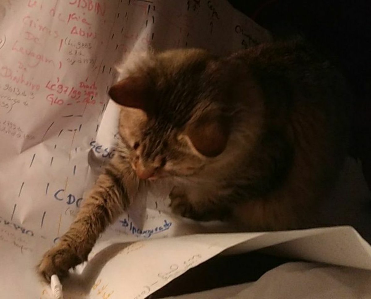 CodingRightsCat's tweet image. Helping my human to make a presentation about surveillance & journalism for @cryptoravebr. Issues are more entangled then my wool ball!