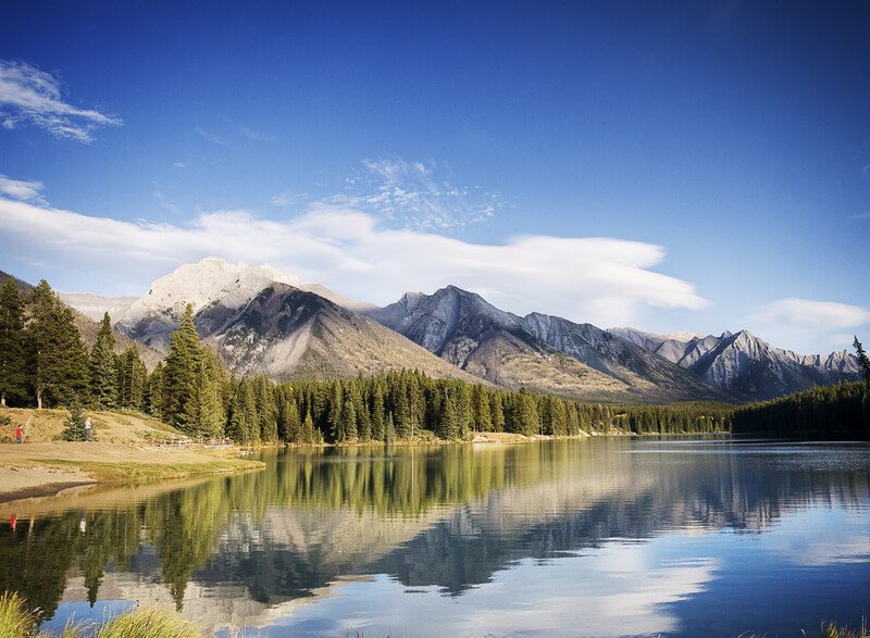 JiTT travel tweet media