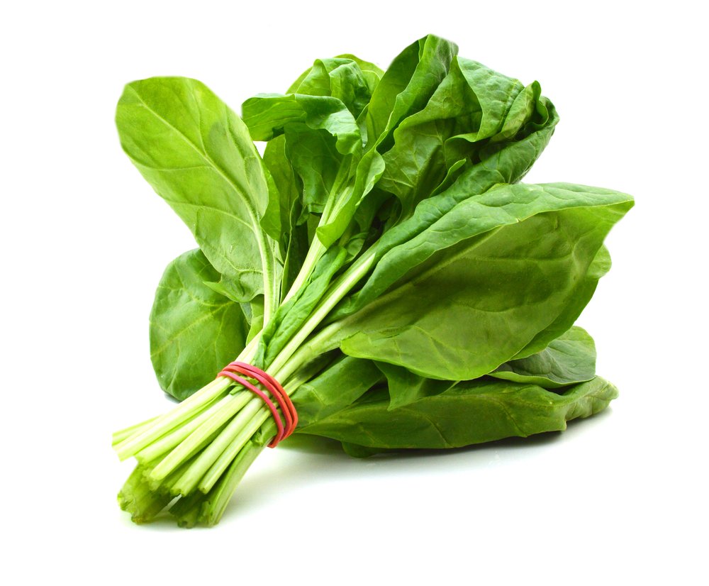 org_greenjuice's tweet photo. Coming to a stomach near me: Super #Organic Green Smoothie. Starring: #Spinach &amp; #Spinach. Co starring by #Strawberry #Banana &amp; many others https://t.co/1wSn4PTPyY