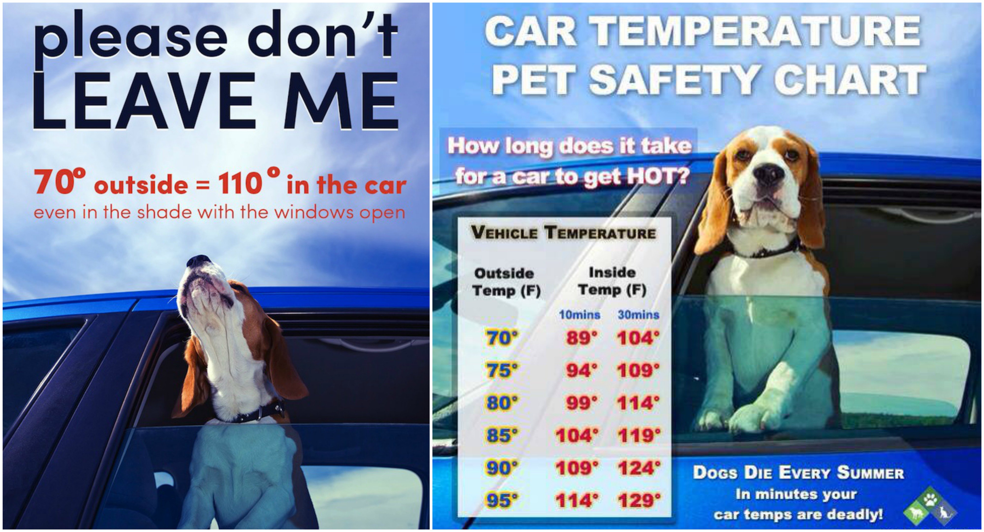 What Temperature Is It Safe To Leave A Dog In A Car