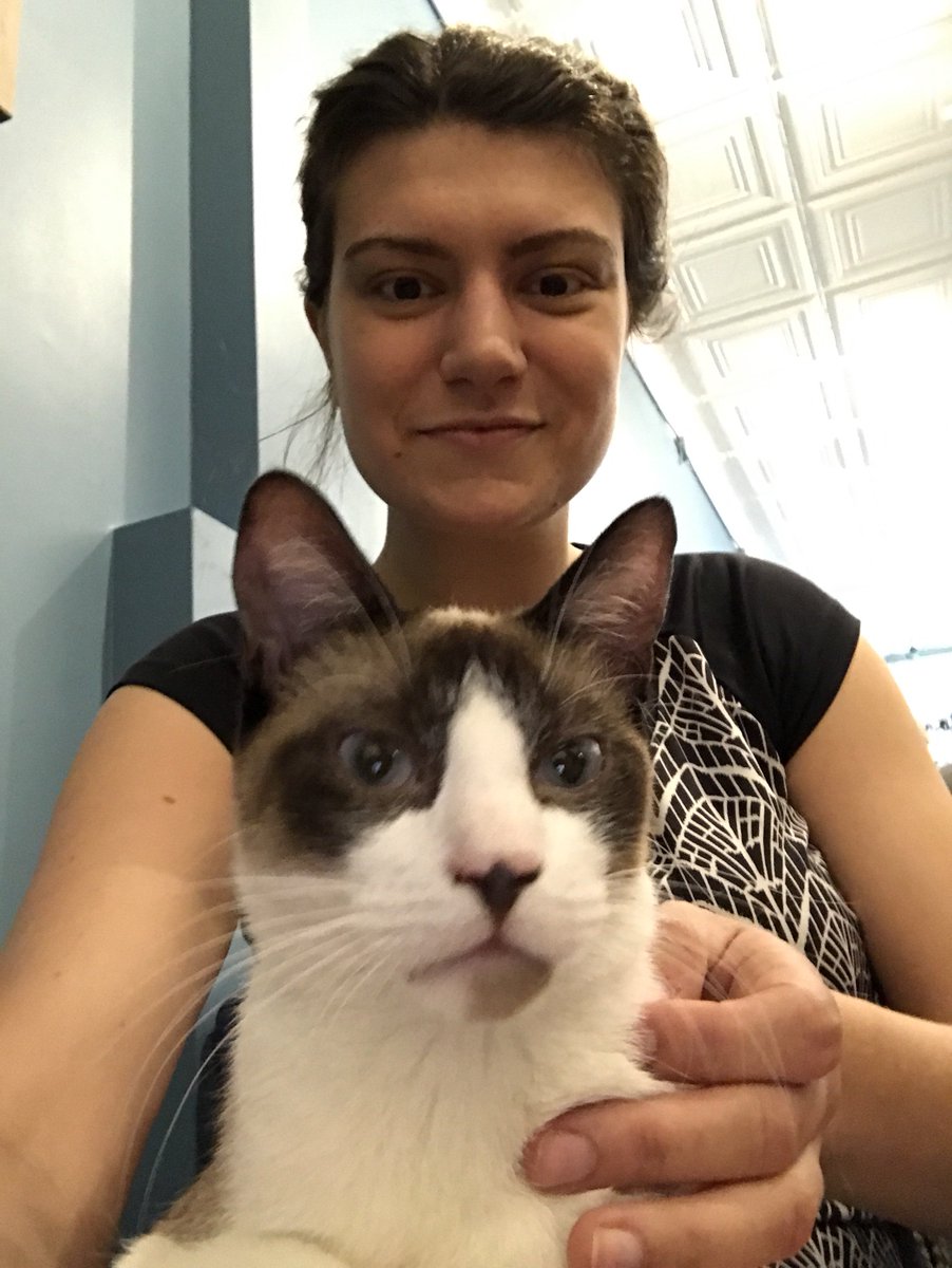 Wirecutter on Twitter "Follow along as we test kitty litter today on