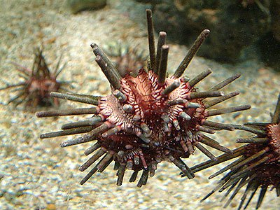 JustinCmith's tweet image. youtube.com/edit?o=U&amp;amp;video…