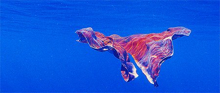 JustinCmith's tweet image. youtube.com/edit?o=U&amp;amp;video…