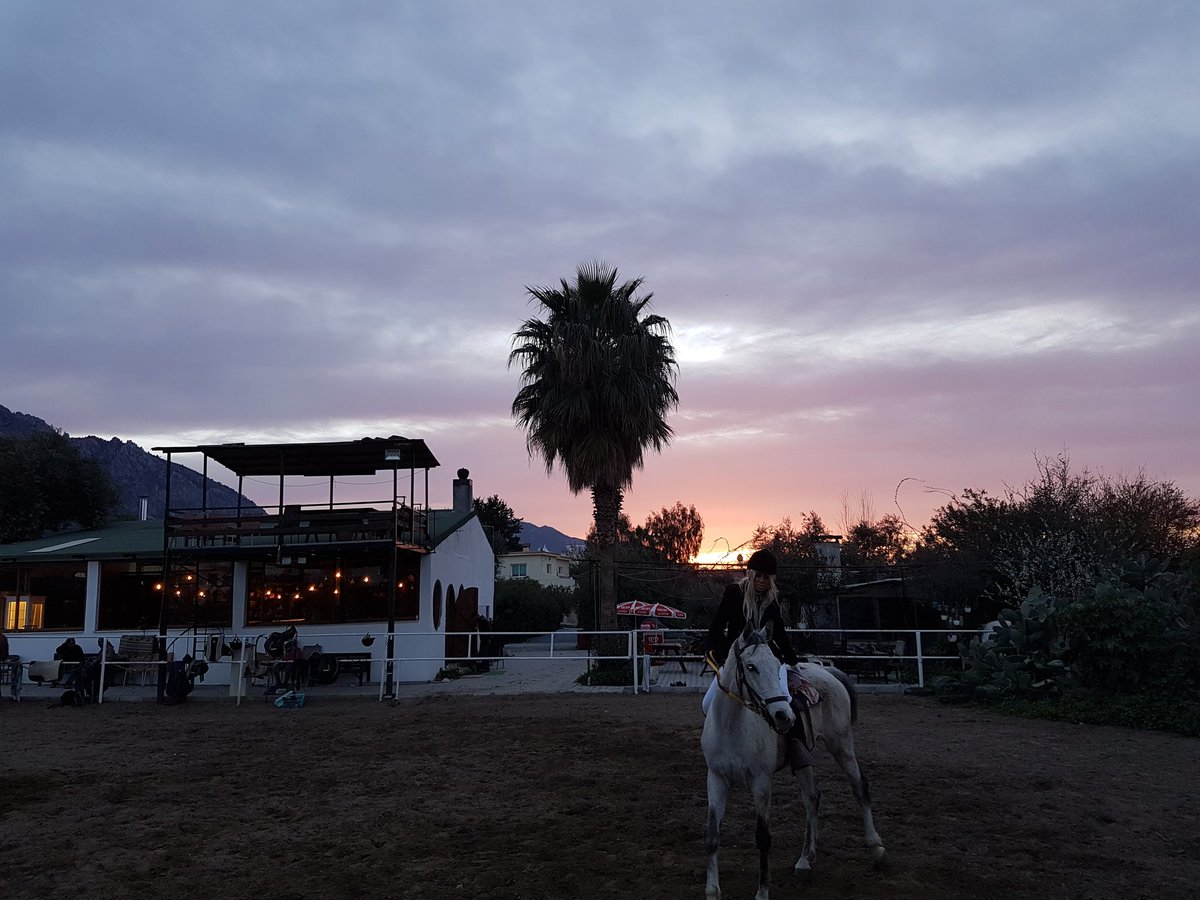 FahriyeOzay7's tweet image. #gün #bitse #bile #henüz #gökyüzünde #günlerin #bitmesi #için #mühür #vurulmadı #mutlu #günlere #uyanalım #fahriyeÖzay #kıbrıs