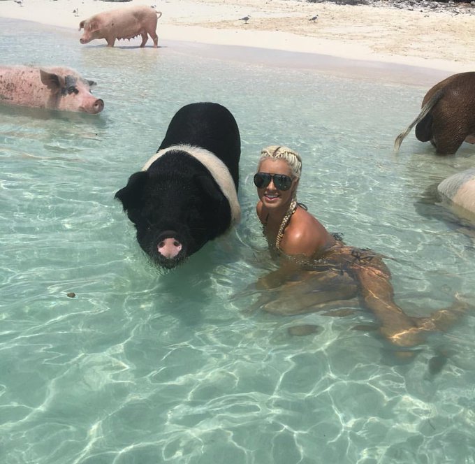 Tonight on @TotalDivas #totaldivas 9/8c https://t.co/s5R6x6Eltj<a class="tags" target="_blank" title="On Twitter" href="/?out=eyJ0eXAiOiJKV1QiLCJhbGciOiJIUzUxMiJ9.eyJpYXQiOjE3MTk4MjMyNjIsImlzcyI6InR3cG9ybnN0YXJzLmNvbSIsIm5iZiI6MTcxOTgyMzI2MiwiZXhwIjoxNzUxMzU5MjYyLCJyZWRpcmVjdF91cmwiOiJodHRwczovL3R3aXR0ZXIuY29tL1RvdGFsRGl2YXMifQ.S0qLCkNQ0TRk1hhmtPudx2bY0YoDwukIGfZqU-dz8WwD2j2KfenzV-E5eg1ORs9mWPbyB-pfdBwir56Rjh03zg">@TotalDivas</a><a href="/tag/totaldivas"class="tags">#totaldivas</a>