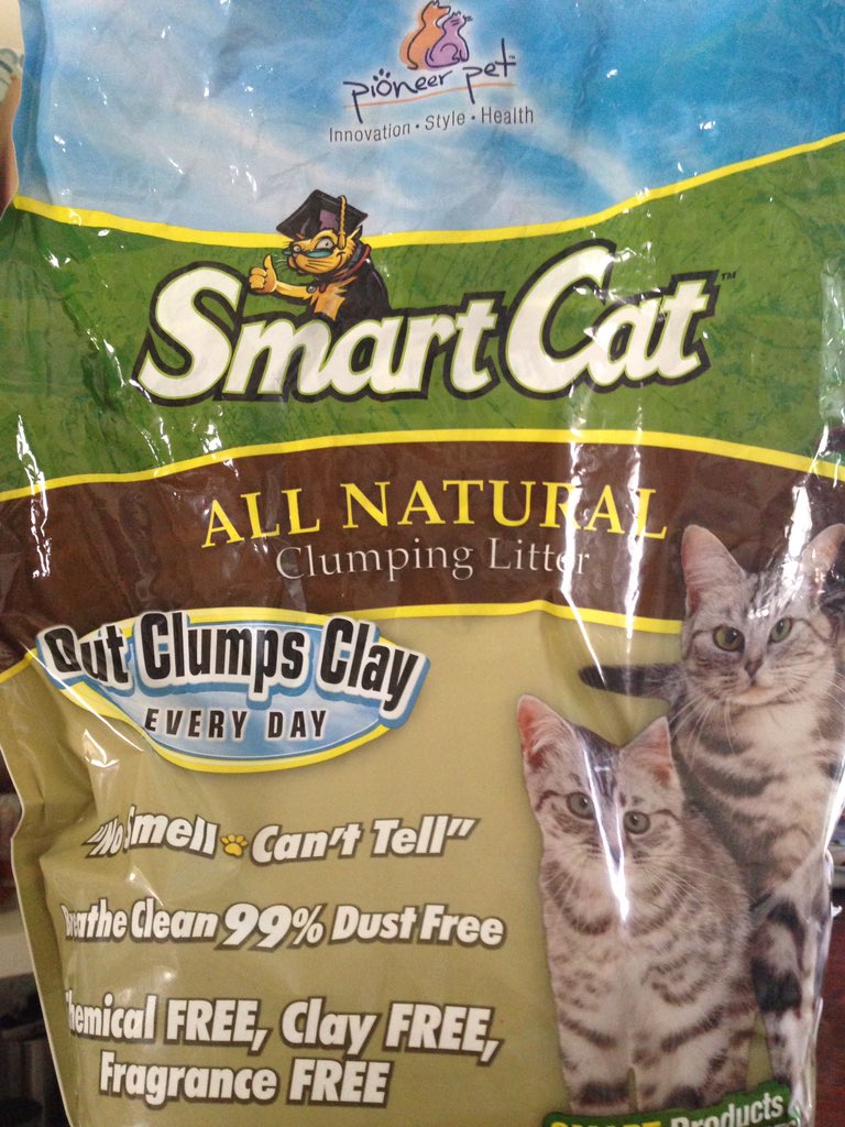 Wirecutter on Twitter "Follow along as we test kitty litter today on