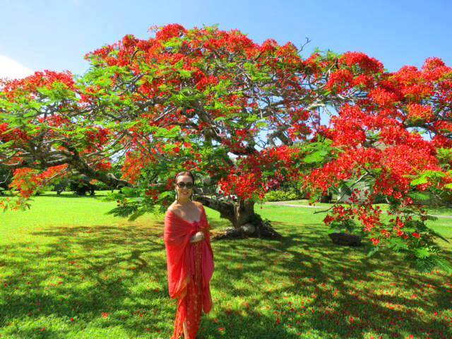 #SUEWONG: "Every flower is a soul blossoming in nature." -- Gerard De Nerval