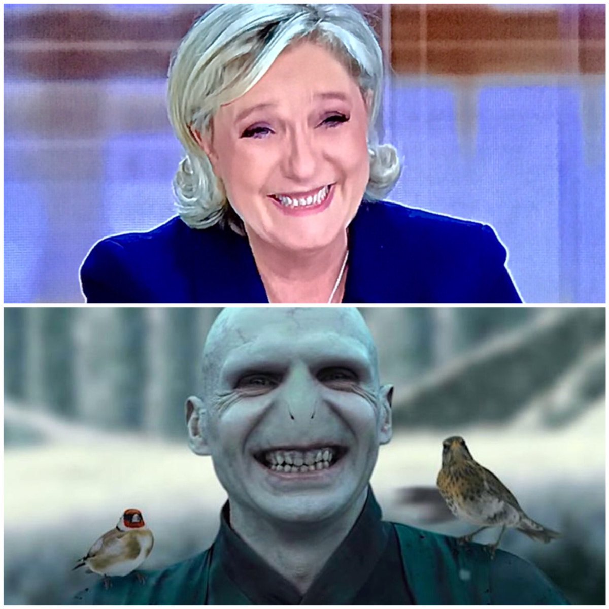 Christophe Beaugrand-Gerin on Twitter: "Quand tu penses que Marine Le Pen  n'a pas pu venir et que c'est Voldemort qui participe au débat ce soir  😂😂😂 #2017LeDebat https://t.co/U4Ny2eCP7W" / Twitter
