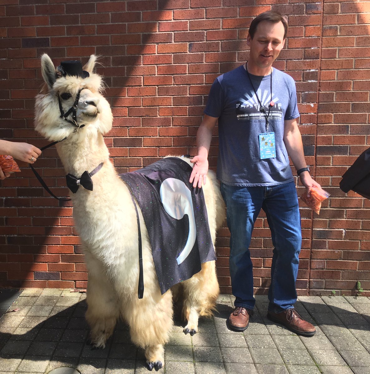 yasmina_anwar's tweet image. OMG! #commallama @CSVConference #csvconf