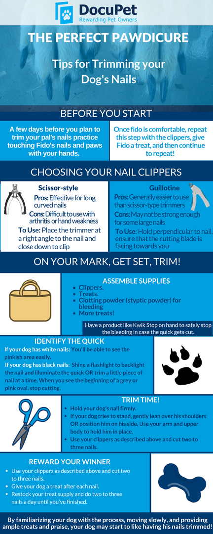 DocuPetClaringt's tweet photo. Is Fido in need of a nail trim? Check out these tips from: https://t.co/9uS3T5oCJX
#NailTrim #PetAdvice #DocuPet #Clarington https://t.co/8Rybny2mkl