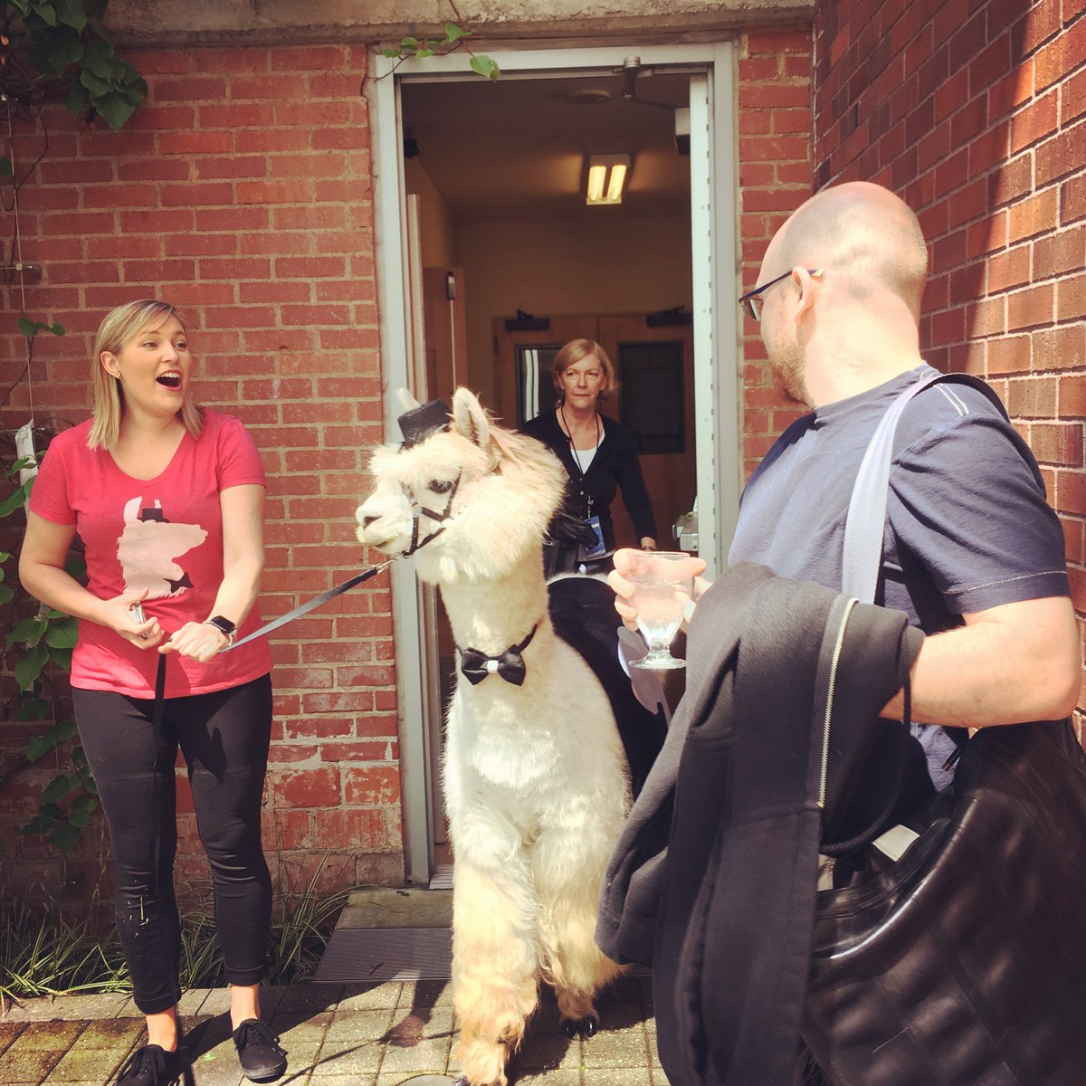 mahrialebow's tweet image. Conference of the year award to #csvconf for bringing #commallama to lunch.