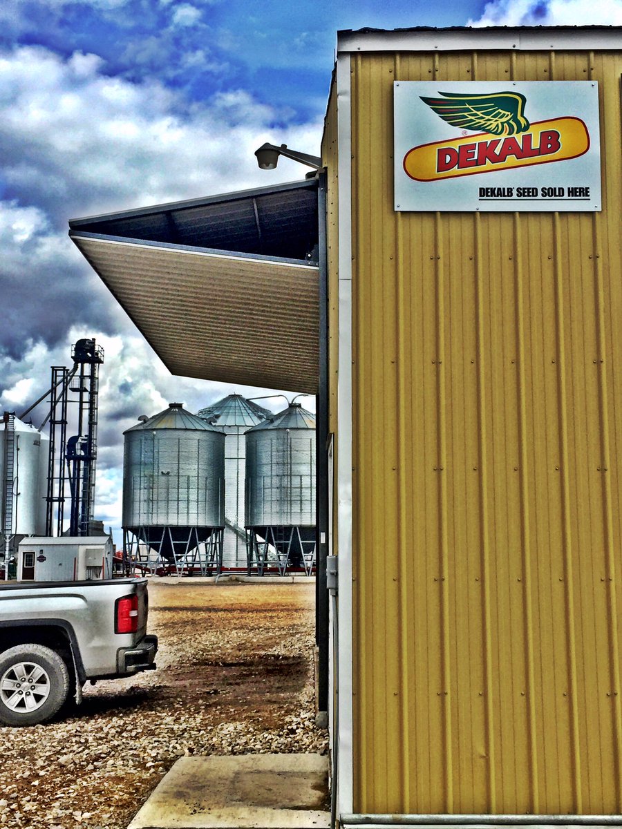 robmakowsky's tweet photo. Happy #wingwed to you all! #plant17 @DEKALB_Canada https://t.co/Q5fOsyo729