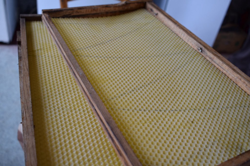Beekeeping_ireland_ (Beekeeping_ie_) Twitter