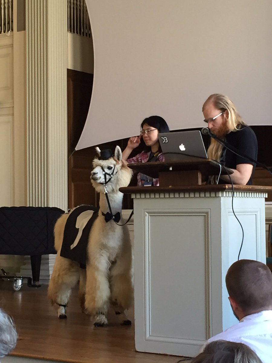 NatCaulk's tweet image. What is even happening? #commallama #somajestic #csvconf