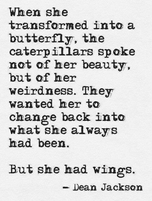 suicidediet's tweet photo. Don't be afraid to be a butterfly https://t.co/8XS9Zerx2J