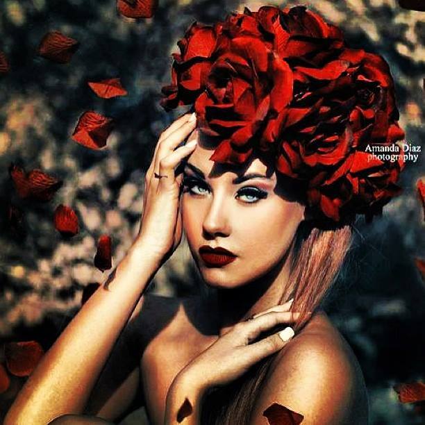 White roses are for love dead or forsaken, but the red roses, ah the red roses are for love triumphant.” - Shinichi Suzuki #SueWongUniverse